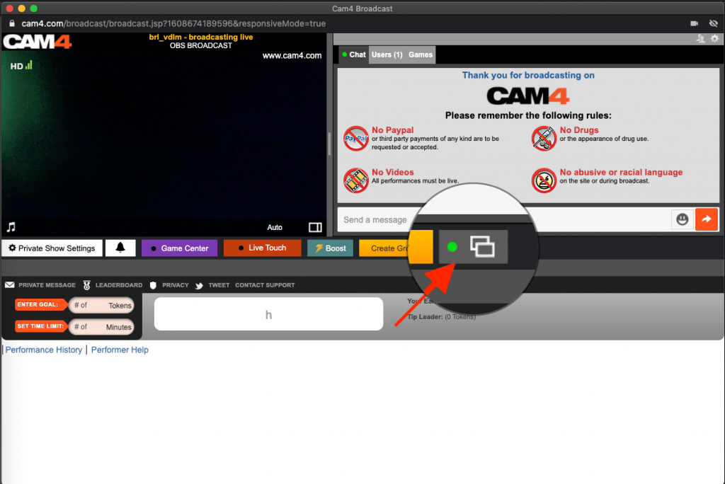 Mostrar / Ocultar El Botón De Video Para Mejor Funcionamiento → Recomendado Para Equipos Más Antiguos